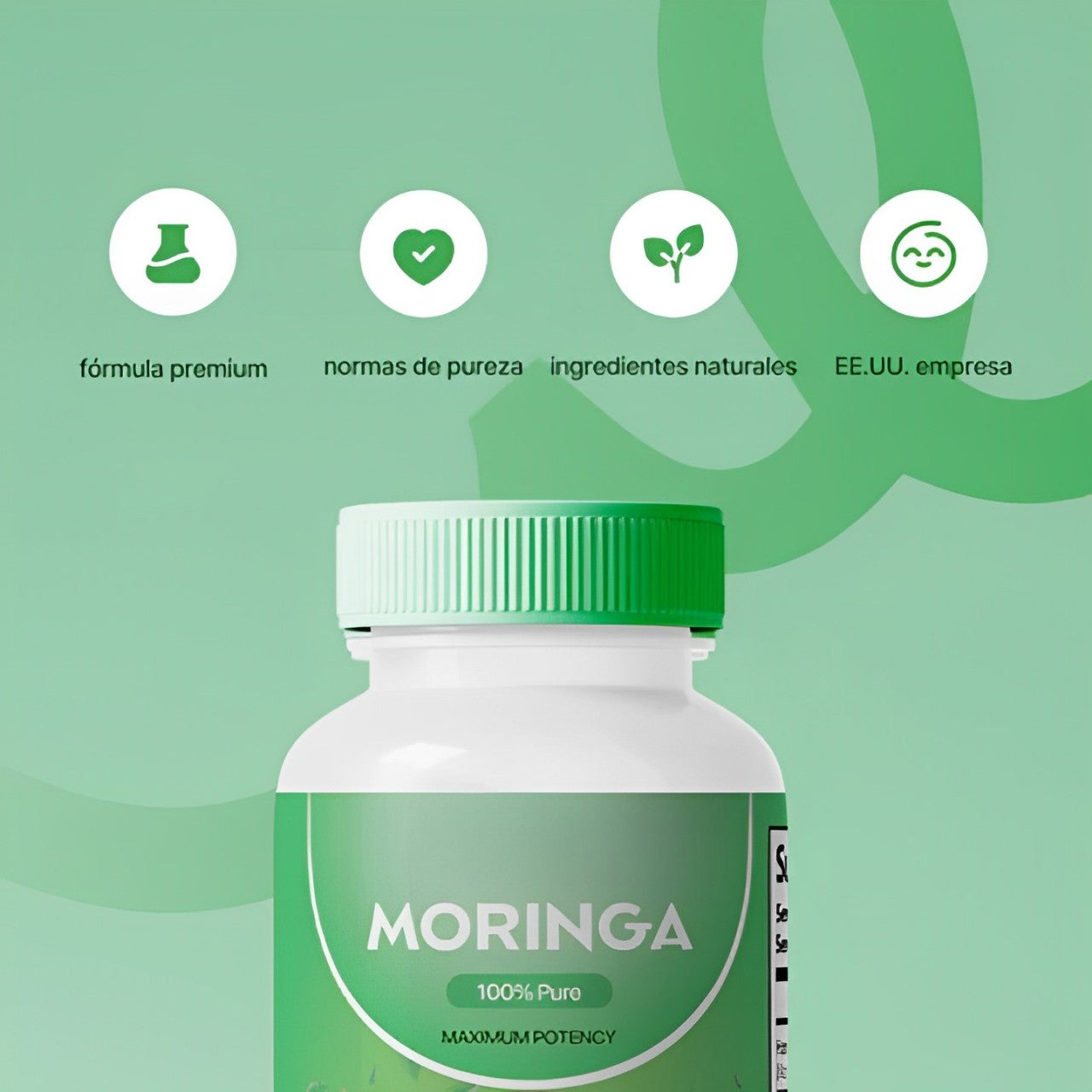 MORINGA : Natural Vitality 🥬