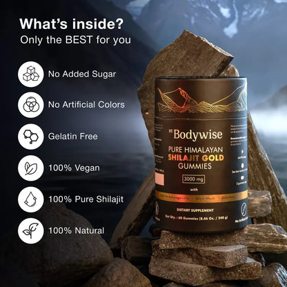 Bodywise Pure Himalayan Shilajit Gold Gummies 🍬